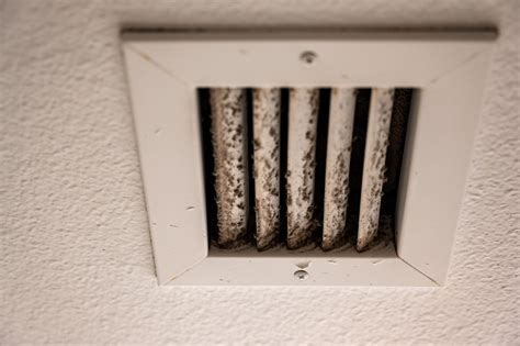 can mold build in my ac distribution box|mold in hvac system.